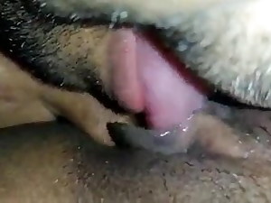 Uncle gobbling desi mom&rsquo;s pussy